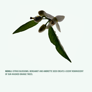 Natural Deodorant Stick